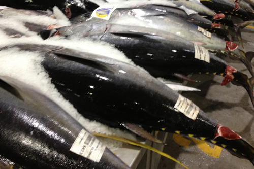 Fish & Fowl – Seafood – Poultry – Deli