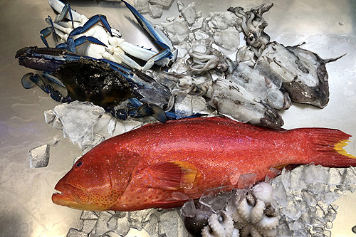 Fish & Fowl – Seafood – Poultry – Deli